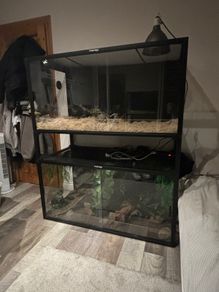 Two Phailozoo 120 Gallon reptile enclosures 4x2x2 in black