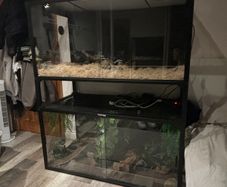 Two Phailozoo 120 Gallon reptile enclosures 4x2x2 in black