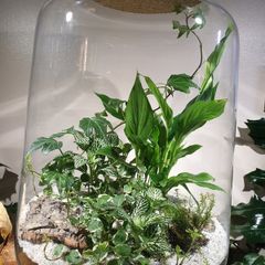 Forest in a jar H38 x W25cm