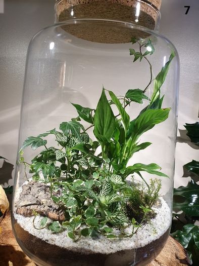 Forest in a jar H38 x W25cm