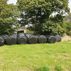 Haylage Bales