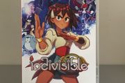 Indivisible Nintendo Switch