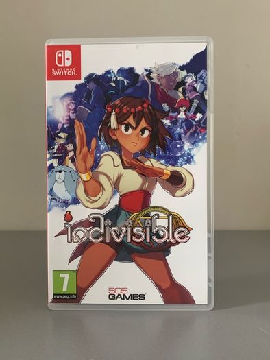Indivisible Nintendo Switch