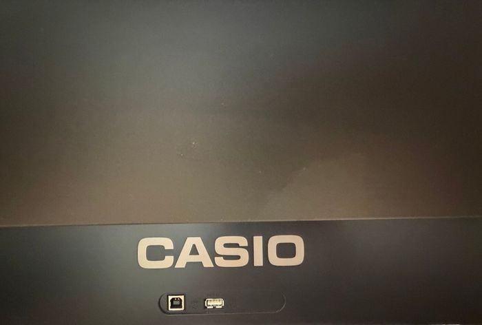 Casio px-s1100 digital piano (Black) + keyboard stand + storage bag