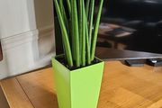 Sansevieria Cylindrica planter