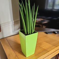 Sansevieria Cylindrica planter