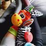 Sensory Toy Rattle Set Image 3