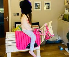 Gorgeous wooden hobby horse toy