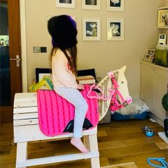 Gorgeous wooden hobby horse toy