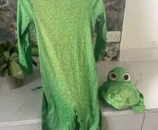 dinosaur costume