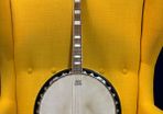 Samick Artist Series 4-string tenor banjo + soft case