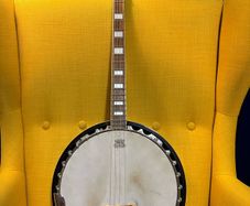 Samick Artist Series 4-string tenor banjo + soft case