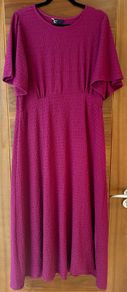 Friends Like These Fusia Dress