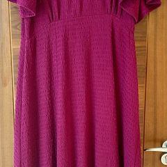 Friends Like These Fusia Dress