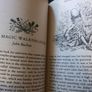 Scottish folk and fairy tales', G. Jarvie ed 1997 Image 5