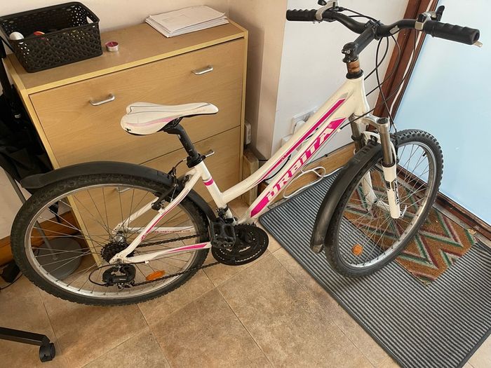 Bicycle Girls