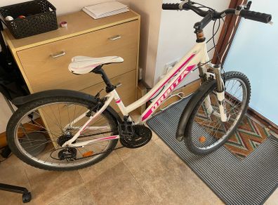 Bicycle Girls