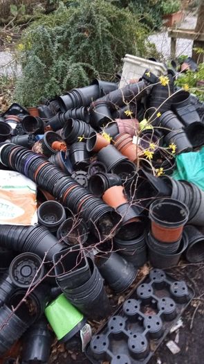 Free pots