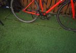 Elops fixie