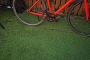 Elops fixie