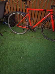 Elops fixie