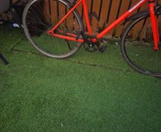 Elops fixie