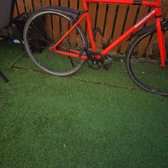 Elops fixie