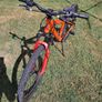 kids bike Image 2