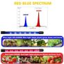 Plant Grow Light Full Spectrum with Stand, 40w 4 Head 80 Leds Grow Light Rf Control Grow Lights for Indoor Plants. Image 2