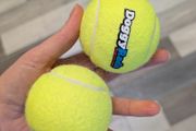 dog tennis balls