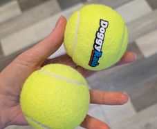 dog tennis balls