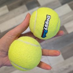 dog tennis balls