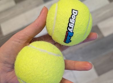 dog tennis balls