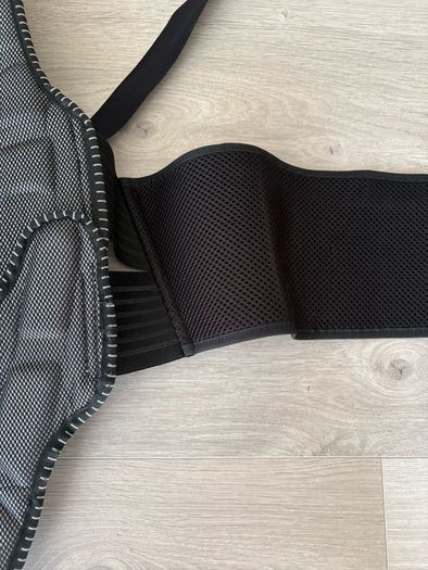 Dainese Back Protector