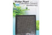 ISTA Water Plant Cultivation Ceramic 6,5x6,5cm square DD05
