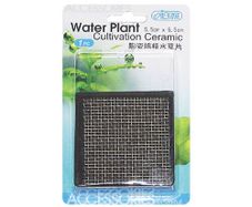 ISTA Water Plant Cultivation Ceramic 6,5x6,5cm square DD05