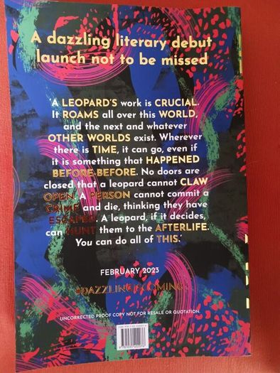 Dazzling / Chikodili Emelumadu/ 2023/ Uncorrected proof