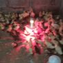chicks and ducklings Image 10