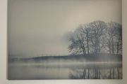 large picture