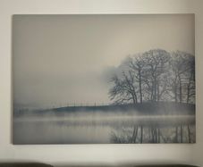 large picture