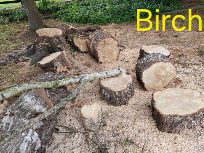 Firewood