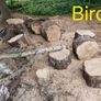 Firewood Image 4