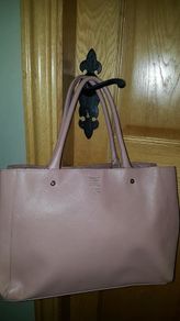 Samantha Thavasa big bag