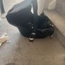 carseat Image 3