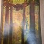 Vintage 1970's The Harp Magazine's x6 Image 7