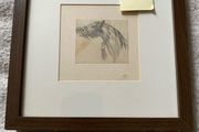 pencil drawing of a horses head