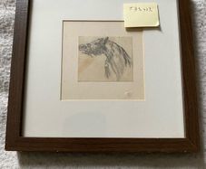 pencil drawing of a horses head