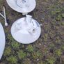 2 light shades. Image 4