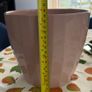 Pot Plant Image 3