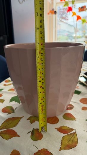 Pot Plant